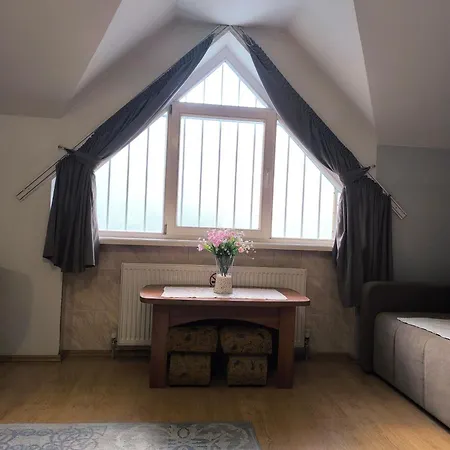 Delfin * Mukatjevo