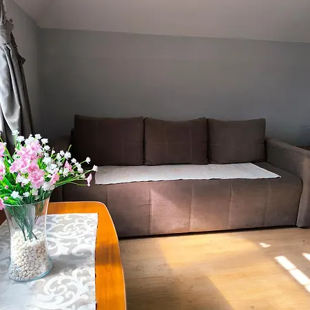 Hotel Delfin Mukatschewo