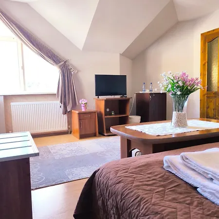 Hotell Delfin Mukatjeve