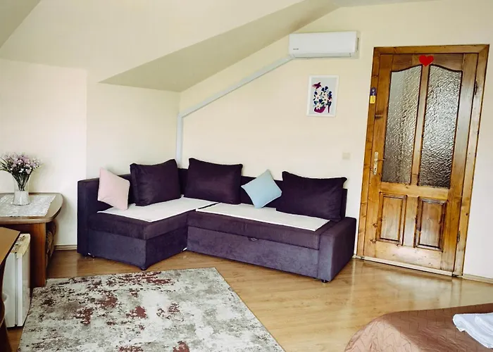 Delfin Szálloda Munkács