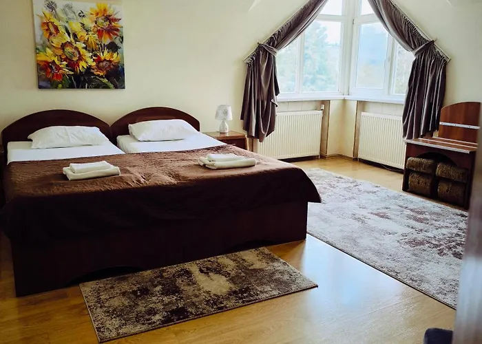 Szálloda Delfin Munkács