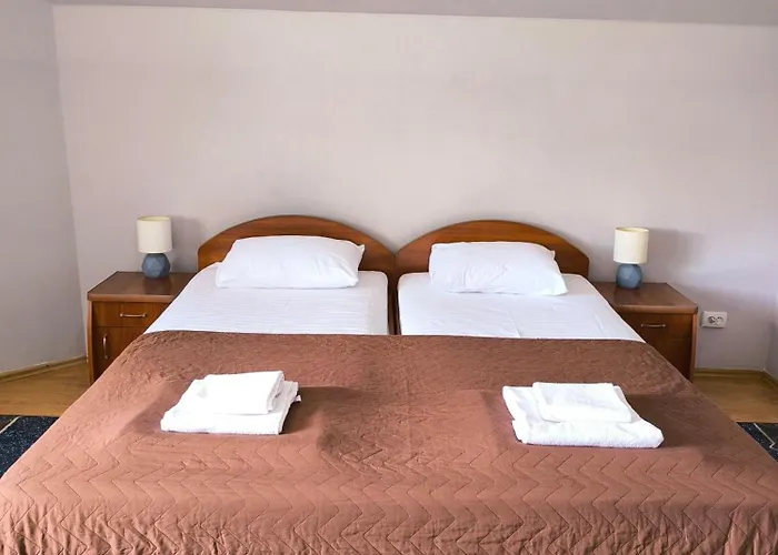 Delfin Hotel Mukačevo