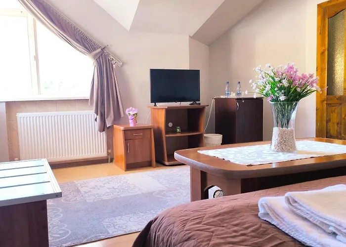 Szálloda Delfin Munkács