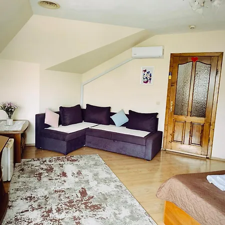 Delfin Hotel Mukacheve