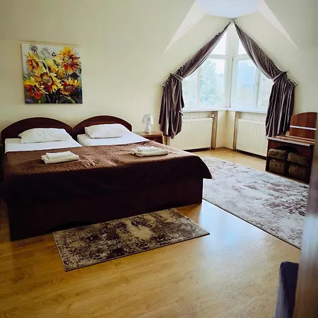 Hotel Delfin Mukacheve